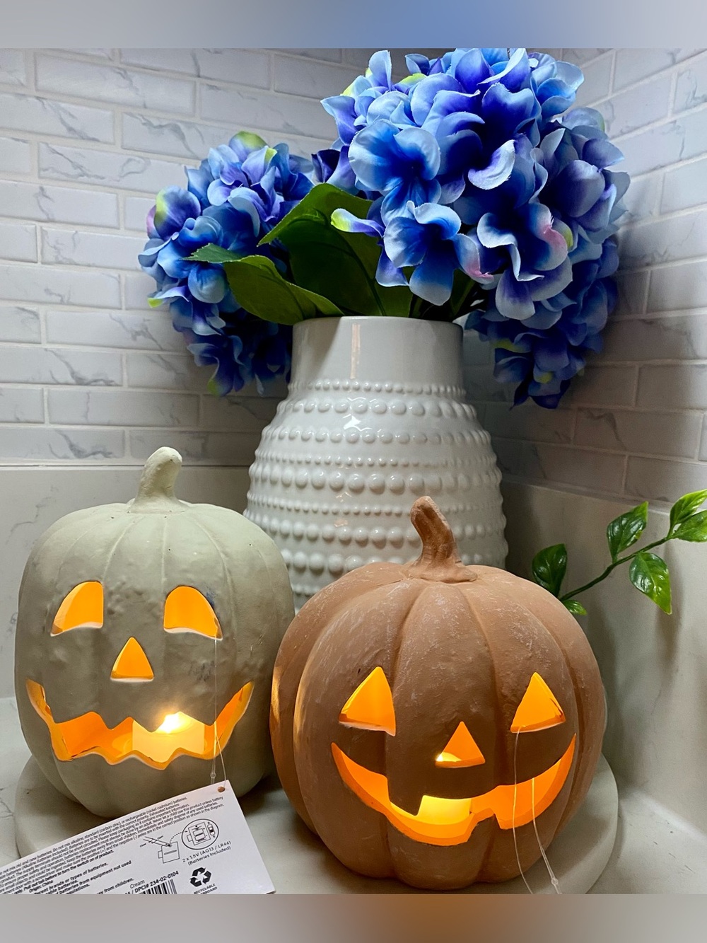 Two terracotta light up pumpkins 🎃
